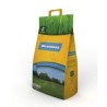 Semillas de cespéd Wildgrass Zulueta